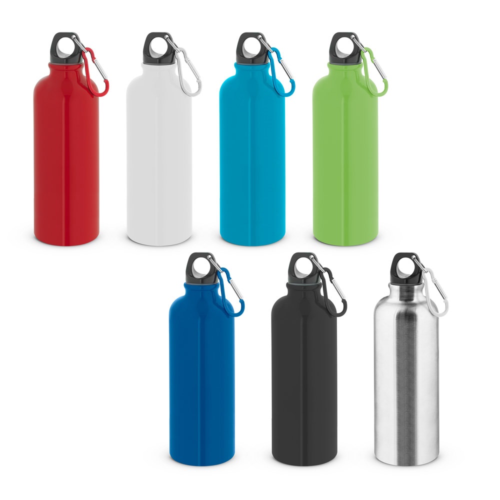 Bouteille en acier inoxydable à simple paroi avec mousqueton 550 ml